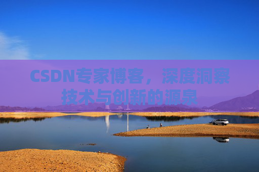 CSDN专家博客，深度洞察技术与创新的源泉